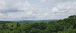 Dorset Lookout Tower