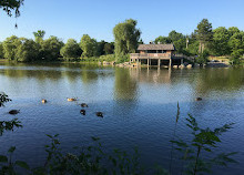 Toogood Pond Park