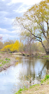 پارک برکه ای توگود