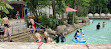 Adventure Cove Waterpark