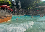 Adventure Cove Waterpark