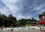 Adventure Cove Waterpark