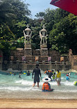 Adventure Cove Waterpark