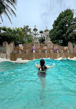 Adventure Cove Waterpark