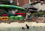 Adventure Cove Waterpark