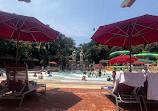 Adventure Cove Waterpark