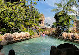 Adventure Cove Waterpark