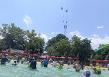 Adventure Cove Waterpark