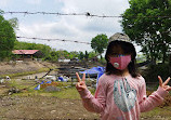 Candi Kedulan