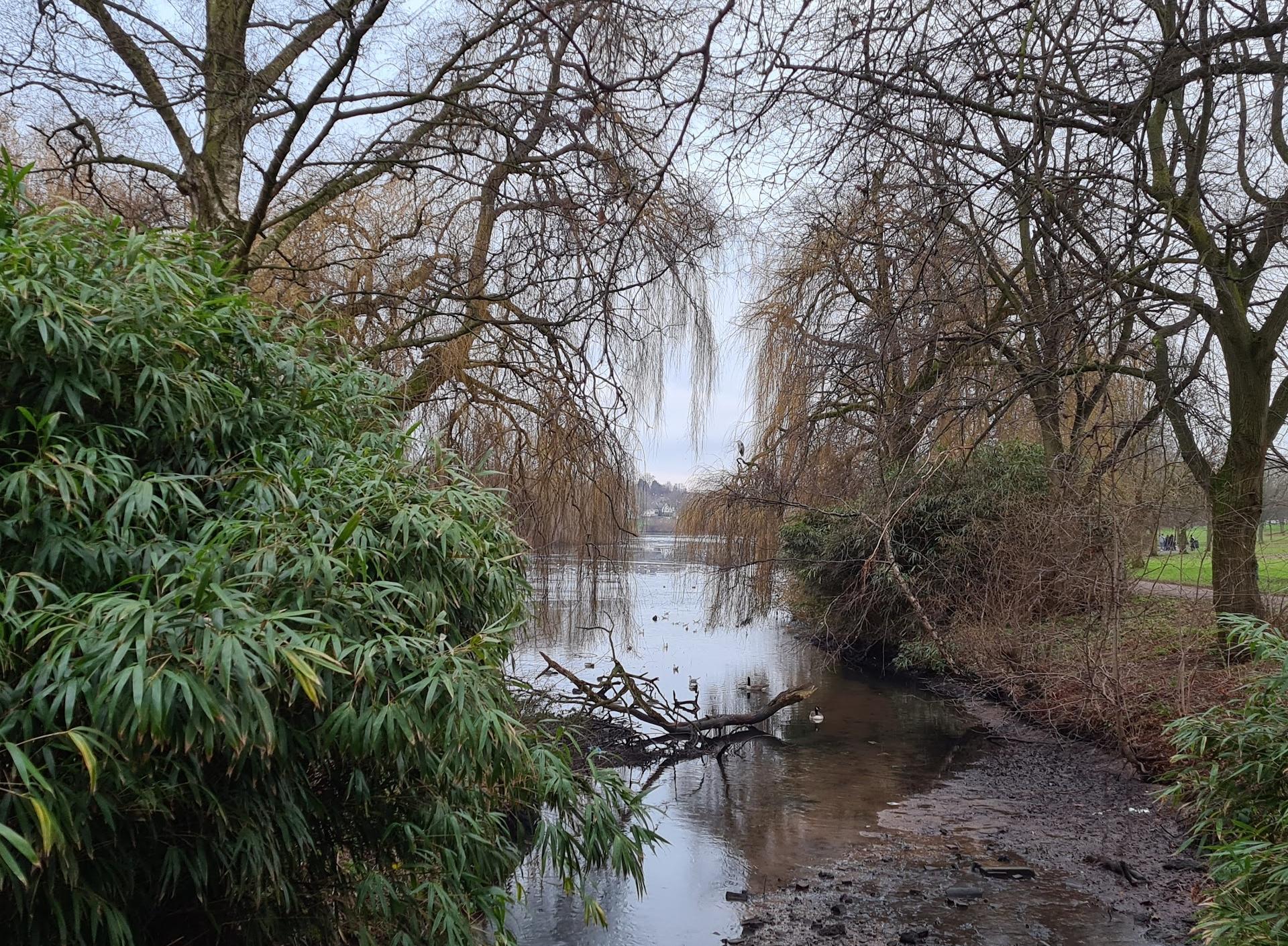 Brookvale Park Lake