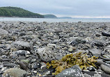 Bar Island Land Bridge