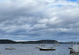 Bar Harbor Whale Watch Co