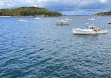 Bar Harbor Whale Watch Co