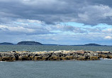 Bar Harbor Whale Watch Co