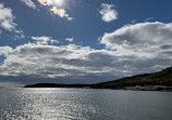 Bar Harbor Whale Watch Co