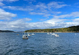 Bar Harbor Whale Watch Co