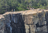 Bar Harbor Whale Watch Co