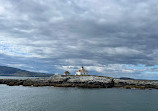 Bar Harbor Whale Watch Co