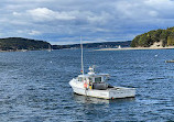 Bar Harbor Whale Watch Co