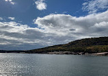 Bar Harbor Whale Watch Co