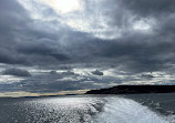 Bar Harbor Whale Watch Co