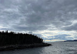 Bar Harbor Whale Watch Co