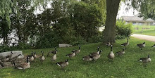 Barrie Waterfront Heritage Trail