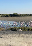 Ras Al Khor Wildlife Sanctuary