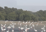 Ras Al Khor Wildlife Sanctuary