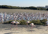 Ras Al Khor Wildlife Sanctuary