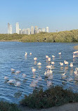 Ras Al Khor Wildlife Sanctuary