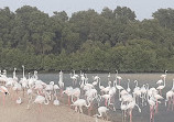 Ras Al Khor Wildlife Sanctuary