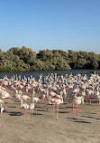 Ras Al Khor Wildlife Sanctuary