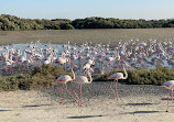 Ras Al Khor Wildlife Sanctuary