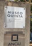 Museo Quinta Vaz Ferreira