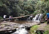 kodaikanal lion cave