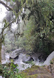 kodaikanal lion cave