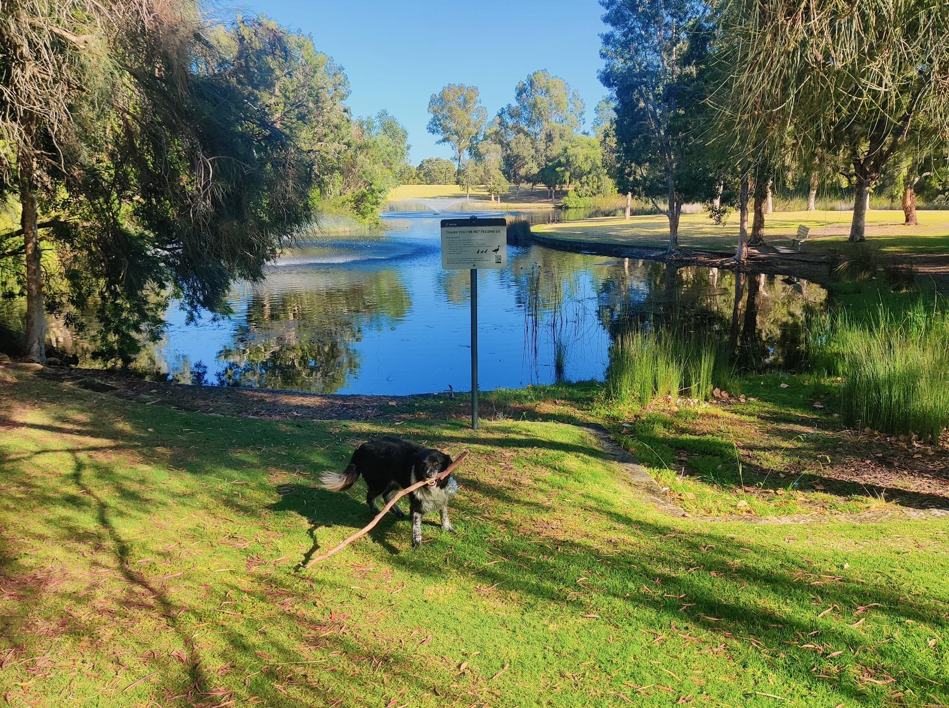 Piney Lakes Reserve