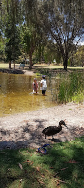 Reserva dos Lagos Piney