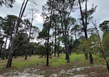 Piney Lakes Reserve