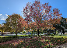 Willetton Library