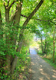 Morrison Dam Conservation Area