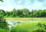 Morrison Dam Conservation Area