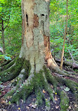 Morrison Dam Conservation Area