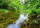 Morrison Dam Conservation Area