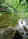 Morrison Dam Conservation Area