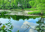 Morrison Dam Conservation Area