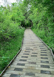 Morrison Dam Conservation Area