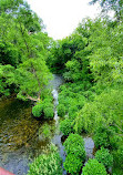 Morrison Dam Conservation Area