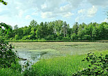 Morrison Dam Conservation Area